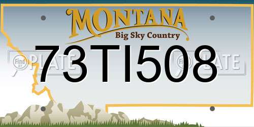 73TI508 Montana License Plate