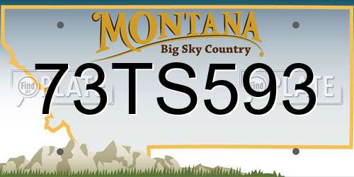 73TS593 Montana License Plate