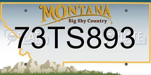 73TS893 Montana License Plate