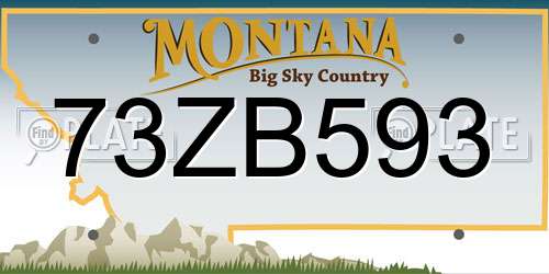 73ZB593 Montana License Plate