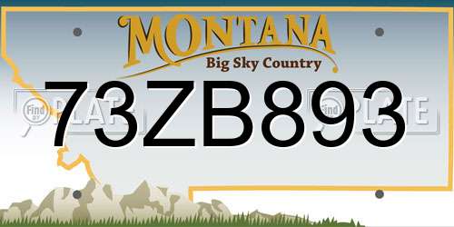 73ZB893 Montana License Plate