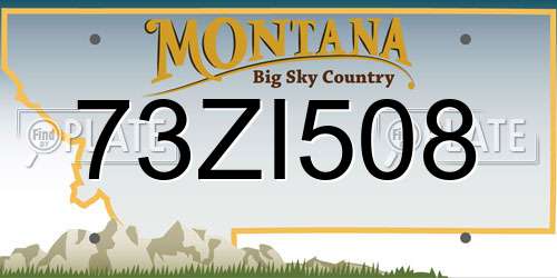 73ZI508 Montana License Plate