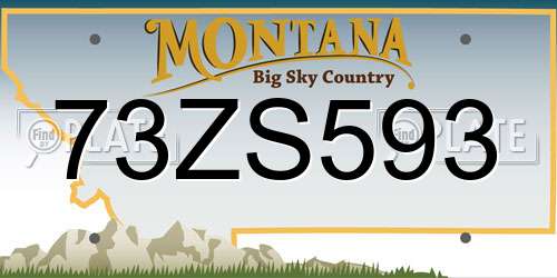73ZS593 Montana License Plate