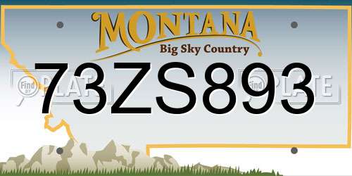 73ZS893 Montana License Plate