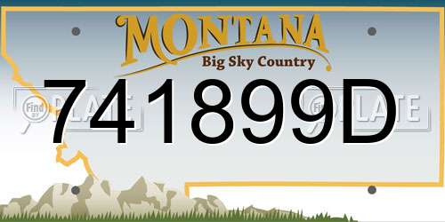 741899D Montana License Plate