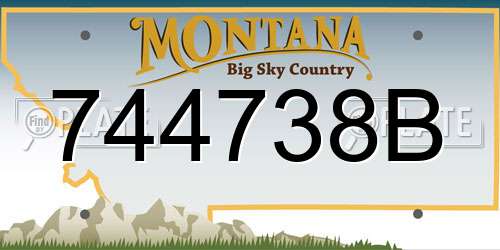 744738B Montana License Plate