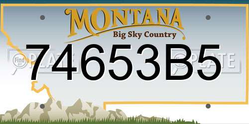 74653B5 Montana License Plate