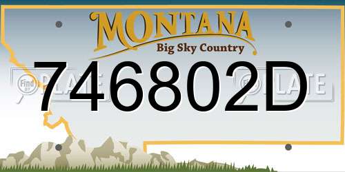 746802D Montana License Plate