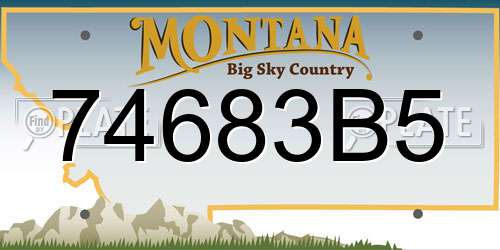 74683B5 Montana License Plate