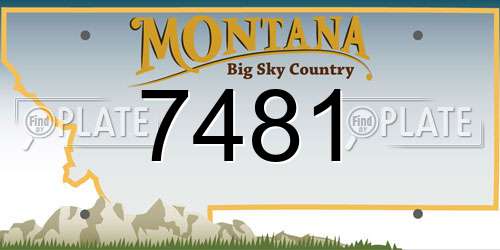 7481 Montana License Plate