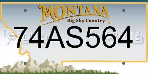 74AS564 Montana License Plate