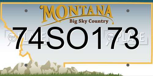 74SO173 Montana License Plate