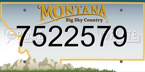 7522579 Montana License Plate