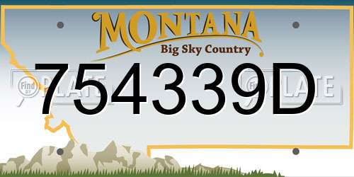 754339D Montana License Plate