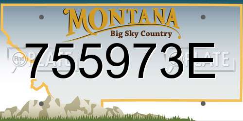 755973E Montana License Plate