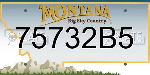 75732B5 Montana License Plate