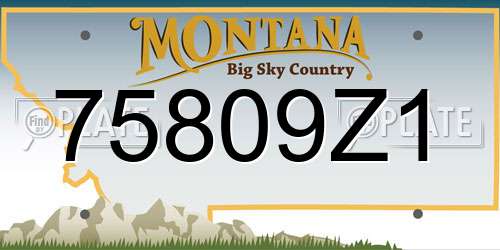 75809Z1 Montana License Plate