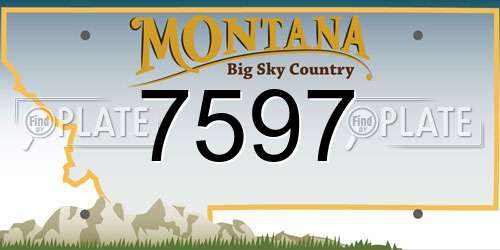 7597 Montana License Plate