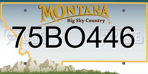 75BO446 Montana License Plate