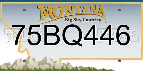 75BQ446 Montana License Plate