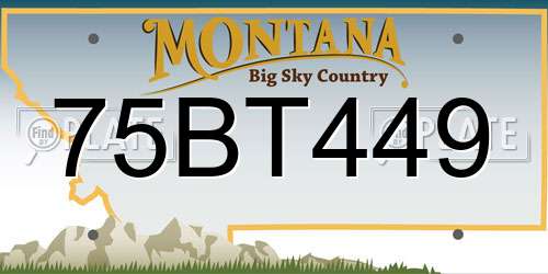 75BT449 Montana License Plate