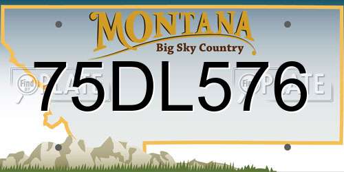 75DL576 Montana License Plate