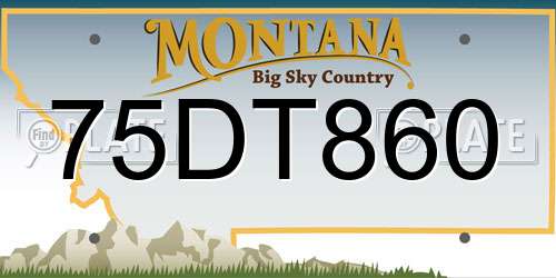 75DT860 Montana License Plate