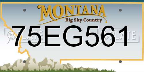 75EG561 Montana License Plate