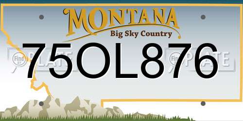 75OL876 Montana License Plate