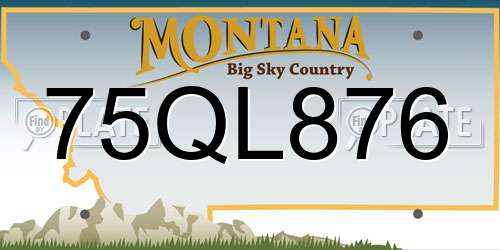 75QL876 Montana License Plate