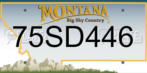 75SD446 Montana License Plate