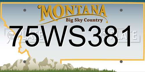 75WS381 Montana License Plate