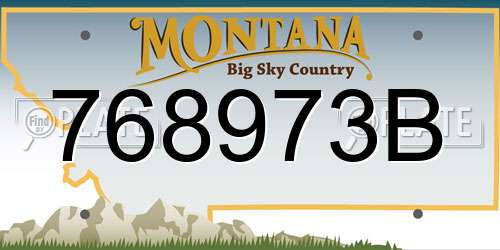 768973B Montana License Plate