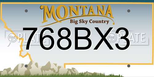 768BX3 Montana License Plate