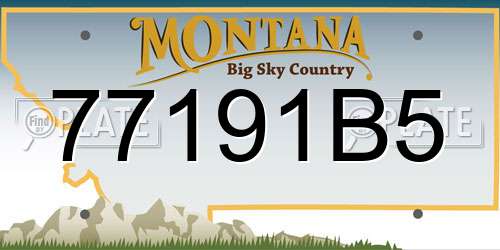 77191B5 Montana License Plate