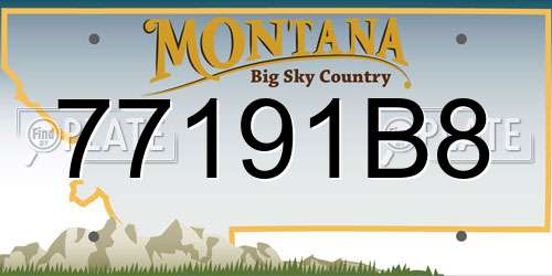 77191B8 Montana License Plate