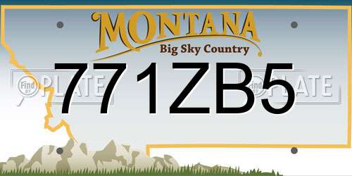 771ZB5 Montana License Plate