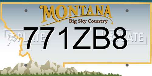 771ZB8 Montana License Plate