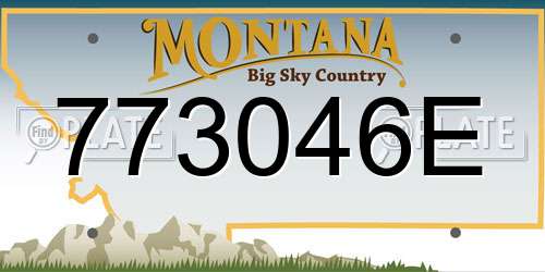 773046E Montana License Plate
