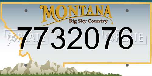 7732076 Montana License Plate