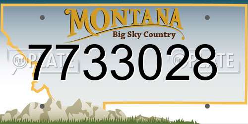 7733028 Montana License Plate