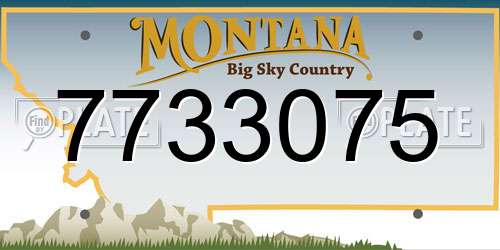 7733075 Montana License Plate