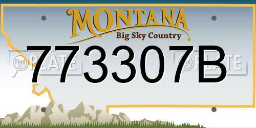 773307B Montana License Plate
