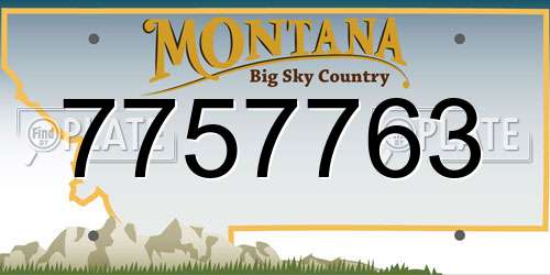 7757763 Montana License Plate