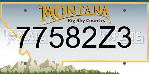 77582Z3 Montana License Plate