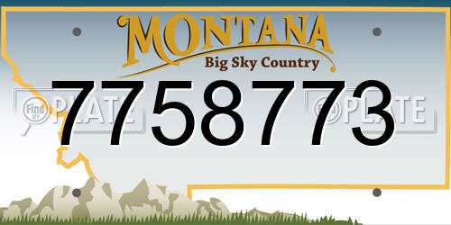 7758773 Montana License Plate