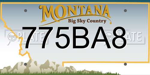 775BA8 Montana License Plate