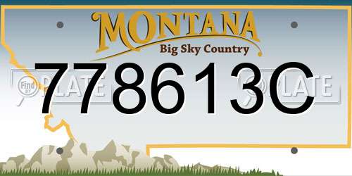 778613C Montana License Plate