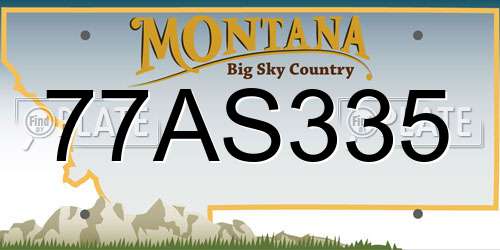 77AS335 Montana License Plate