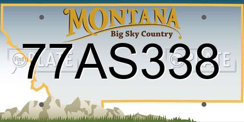 77AS338 Montana License Plate